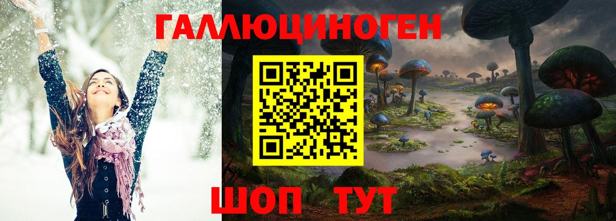 Псилоцибиновые грибы Psilocybine cubensis Фурманов